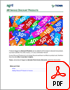screenshot of whitepaper cover