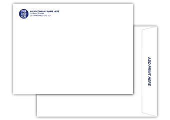 Large Envelope