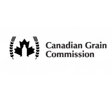 Grains Canada