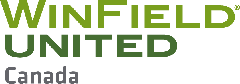 Winfield United