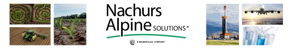 Nachurs Alpine Solutions logo